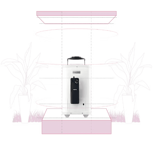 FORTIS DE PASO DE 6LTS