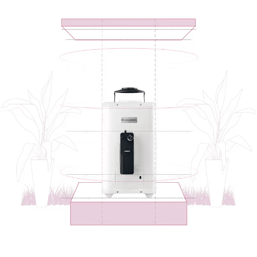 FORTIS DE PASO DE 9LTS